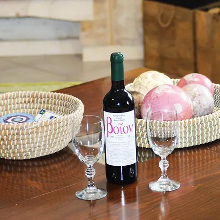 公寓 Barbara's Kastoria *